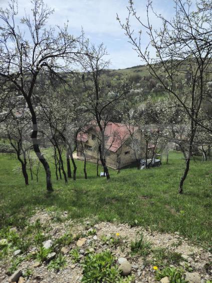 Vila Panoramica Runcu - 13