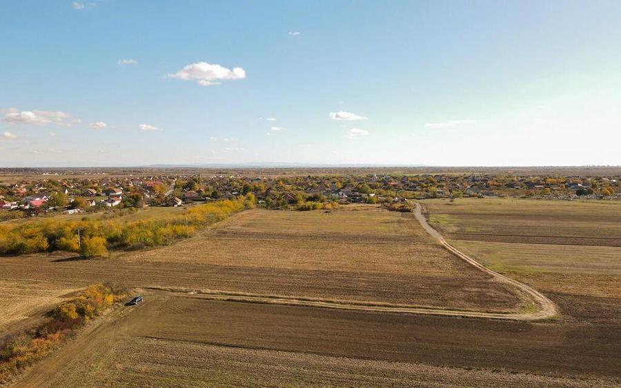 Bucovat - Lot Intravilan 2.27 Ha, PUZ inceput, Rezidentia... - 2