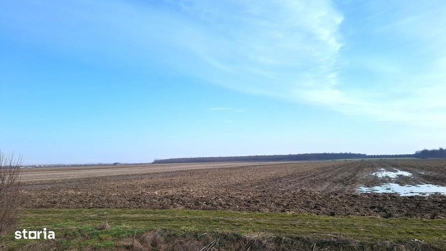 0% Comision - Teren intravilan, apropiere A1, industrial - 3