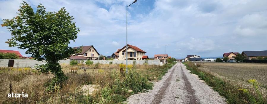 Teren in suprafata 800 mp situat in Harman, zona de case! - 3