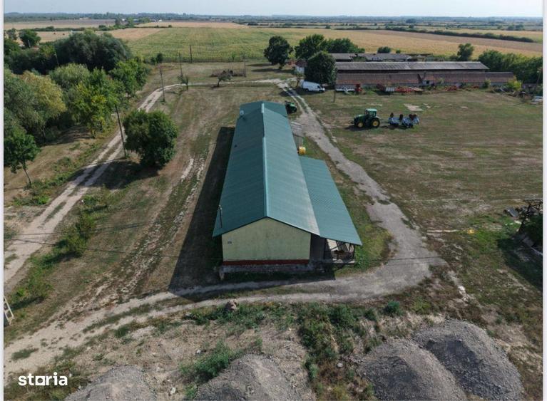 Spatiu multifunctional Salonta - 2