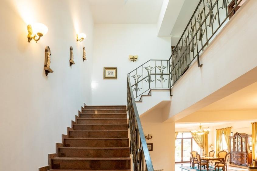 Unicitate, spațiu și rafinament în Snagov! Viata pe lac !! - 11