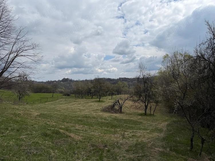 Teren de 10176 mp, în Slătioara