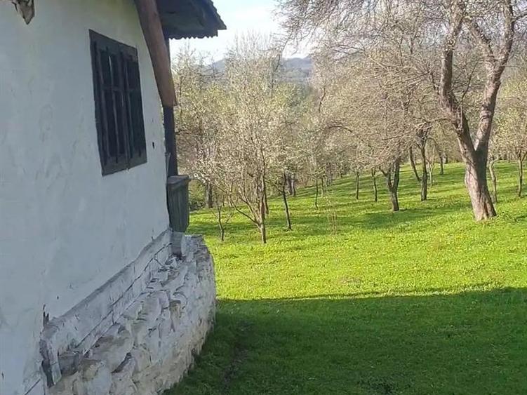 Casă individuală cu 2 camere cu Teren 4000 Mp în Arefu