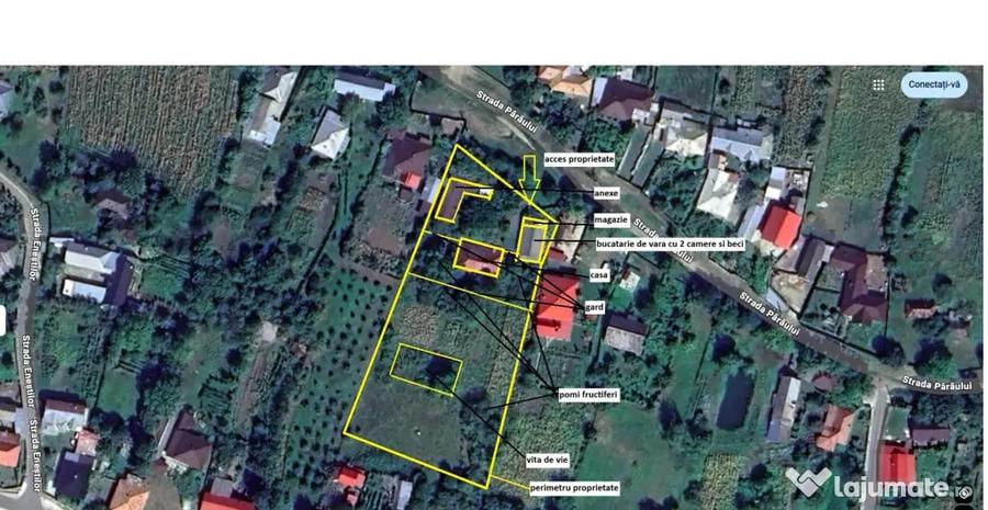 Casă cu 5 camere în Valea Arinilor