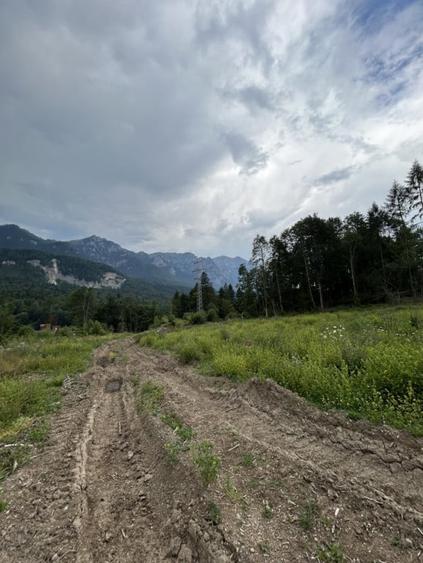Teren de 1724 mp, în Nord