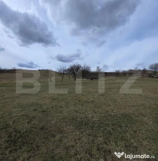 Teren intravilan de vanzare, 28 de ari, zona Herina, Bistrit - 2