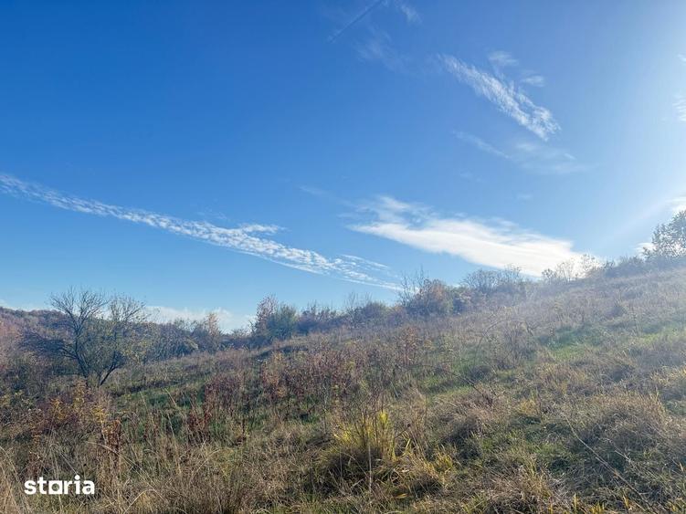 Teren de 1984 mp, în Răzvad