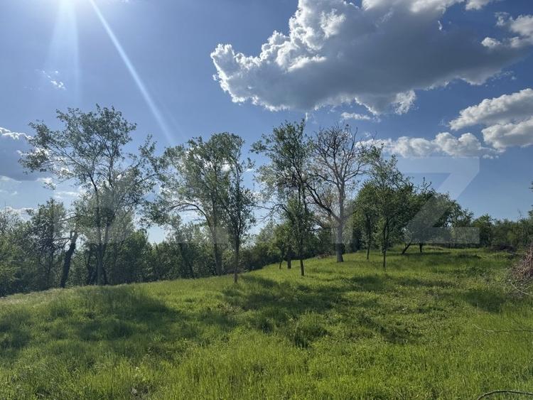 Teren Construcții intravilan de 15080 mp, în Periferie