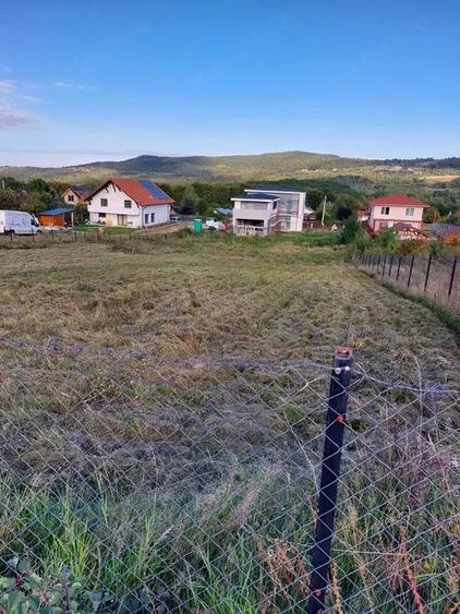 Teren de 1711 mp, în Ciurila