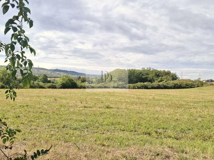 Teren Construcții intravilan de 37976 mp, în Bună Ziua