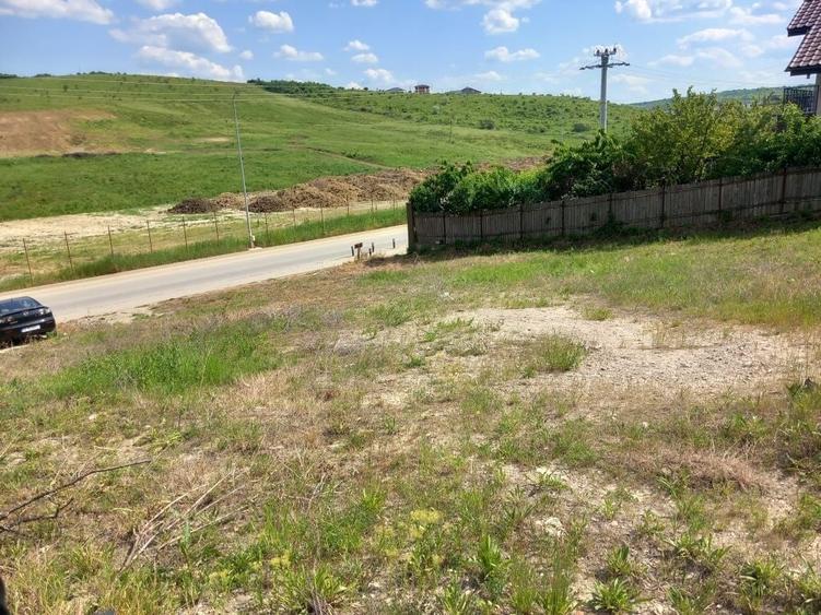 Teren de 450 mp, în Vișan