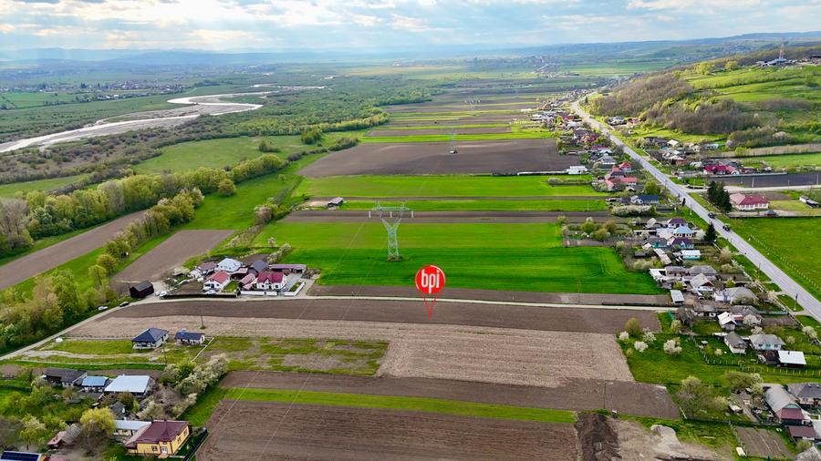 Teren Construcții intravilan de 6209 mp, în Roșiori