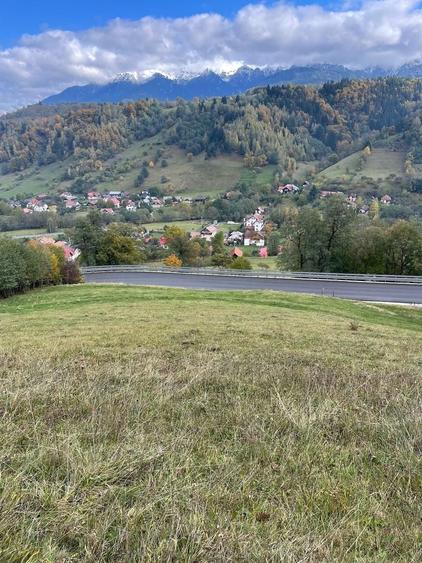 Teren Construcții extravilan de 4700 mp, în Moieciu de Jos
