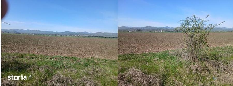 Teren de 3600 mp, în Central