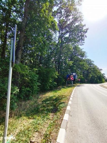 Teren de 3700 mp, în Snagov
