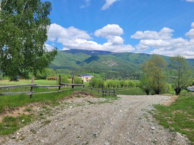 teren de vanzare Slatina ,Comuna Nucsoara - 1