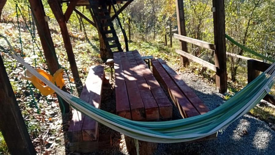 Casă cu Teren 700 Mp în Sasca Montană