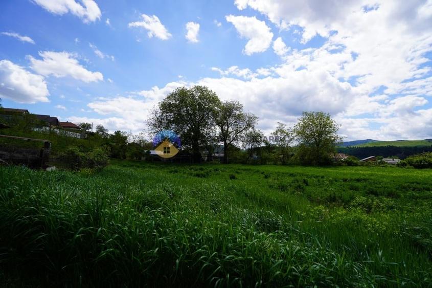Teren intravilan de 9000 mp, în Vânători