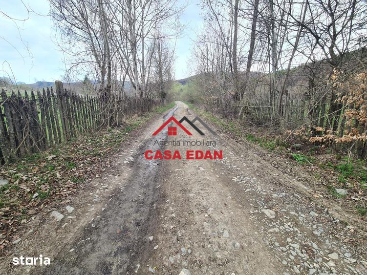 Teren de 20500 mp, în Valea Doftanei