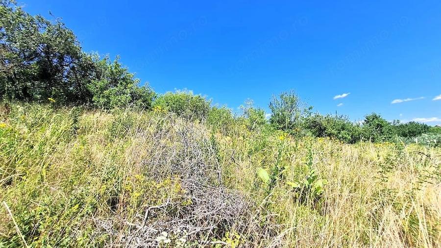 Teren de 1468 mp, în Daia