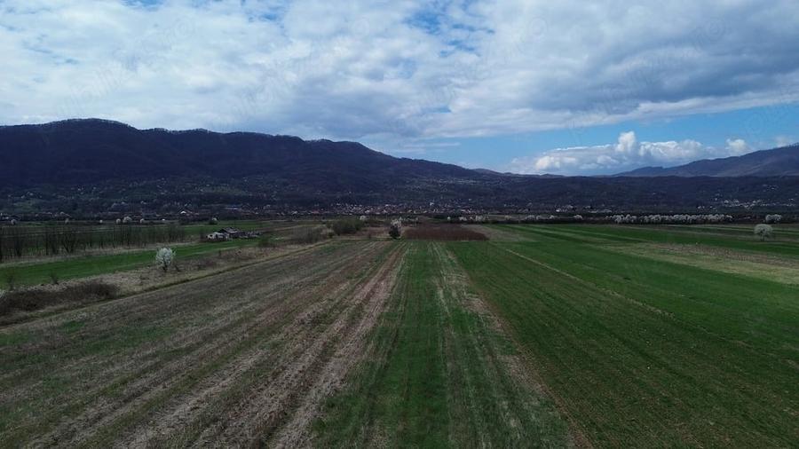 Teren de 6581 mp, în Jiblea Nouă