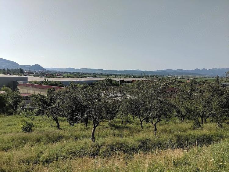 Teren de 10000 mp, în Sântuhalm