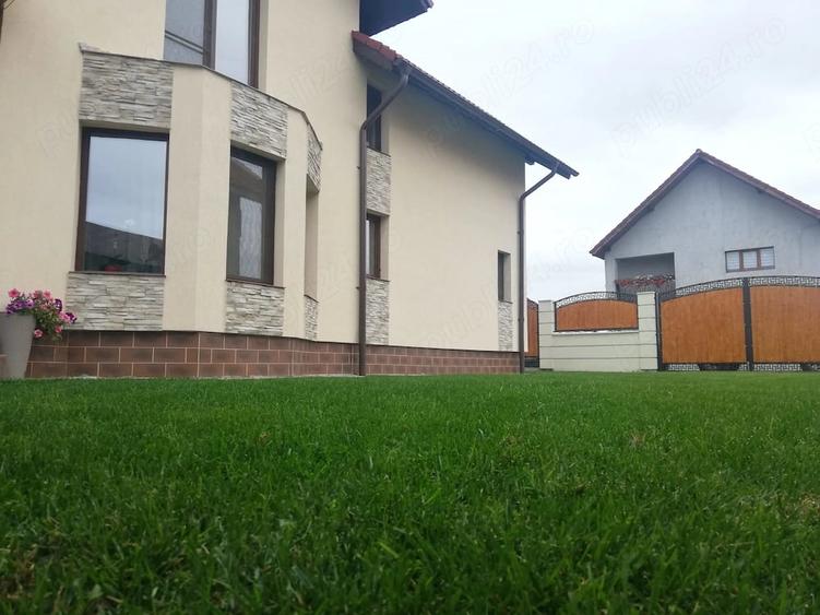 Casă cu Teren 300 Mp în Curtișoara