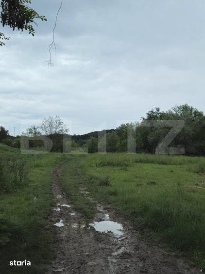 Teren de 3355 mp, în Răzvad