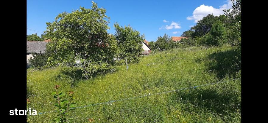 Teren, 410 m2, - 6