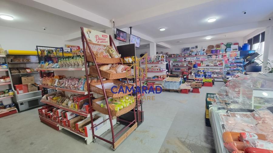 Casă individuală cu 3 camere cu Teren 1400 Mp în Tămădău Mare