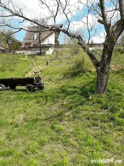 Teren de 561 mp, în Turcheș
