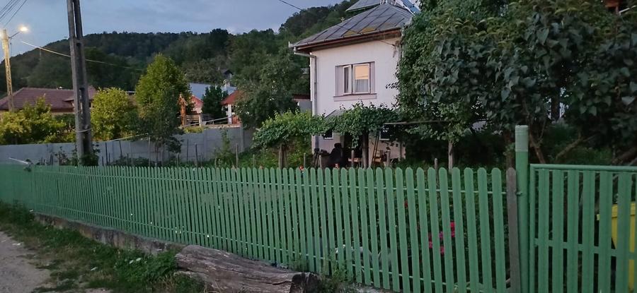 Casă cu 2 camere în Voroveni