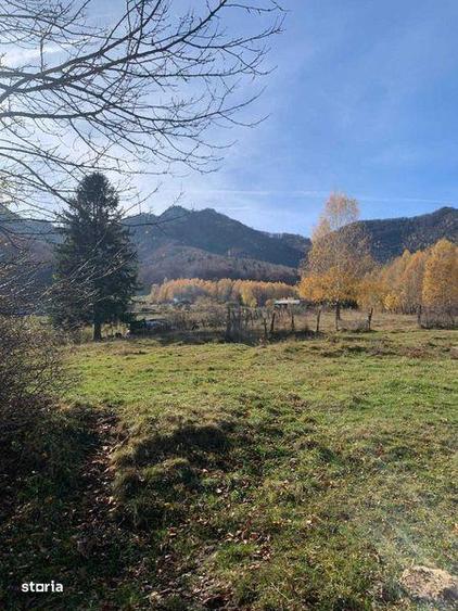 Teren de 1000 mp, în Bran