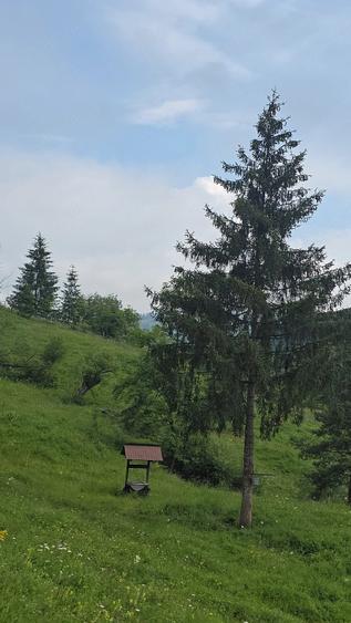 Teren de 9800 mp, în Central