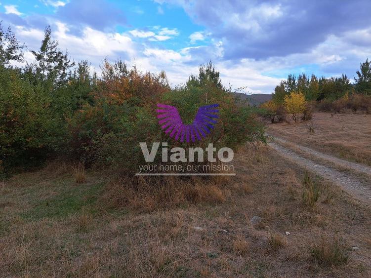 Teren Construcții intravilan de 1000 mp, în Cisnădioara