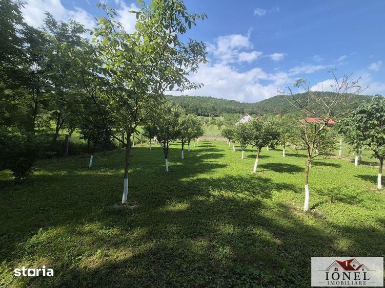 Teren de 2292 mp, în Vințu de Jos