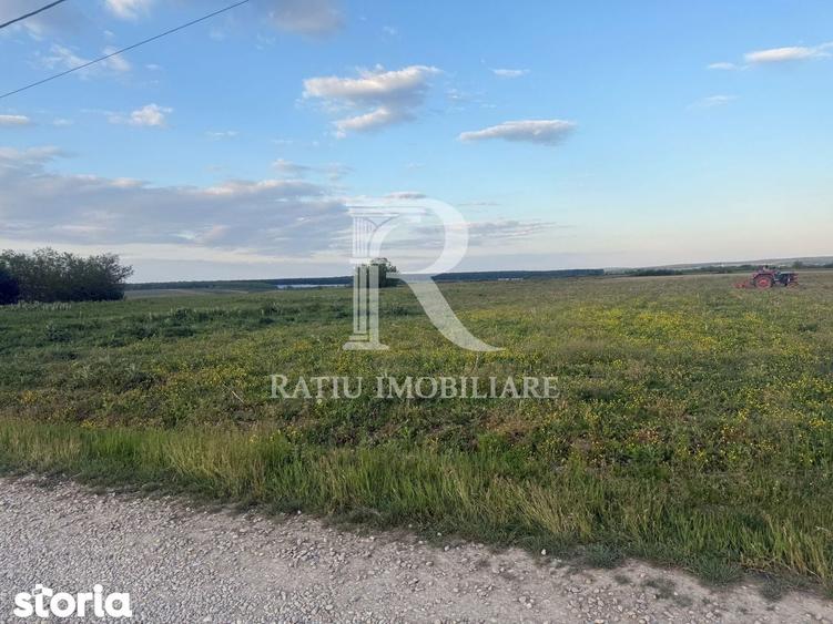 Teren de 2000 mp, în Tămășeu