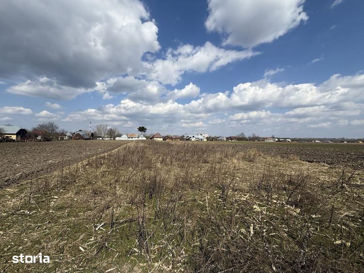 Teren de 3014 mp, în Frătăuții Vechi