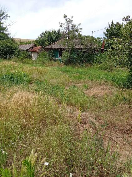 Casă cu Teren 3100 Mp în Unțești