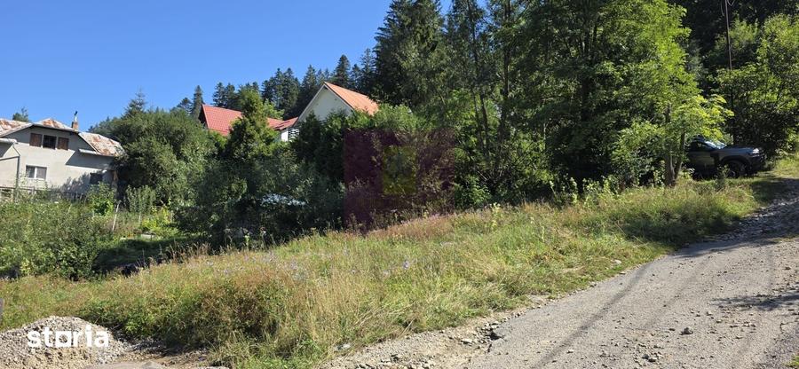 Teren de 288 mp, în Zamora