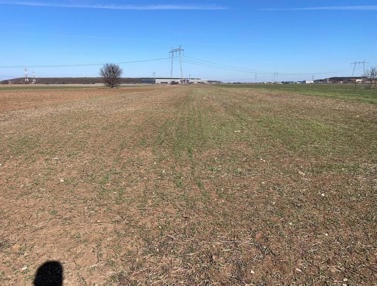 Teren Construcții intravilan de 5000 mp, în Ciorogârla