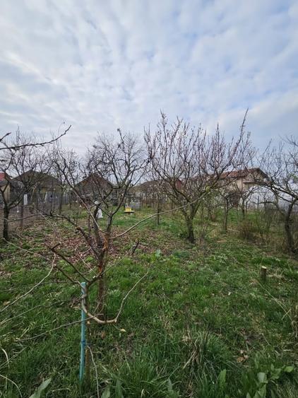 Casă individuală cu 3 camere cu Canalizare în Giarmata