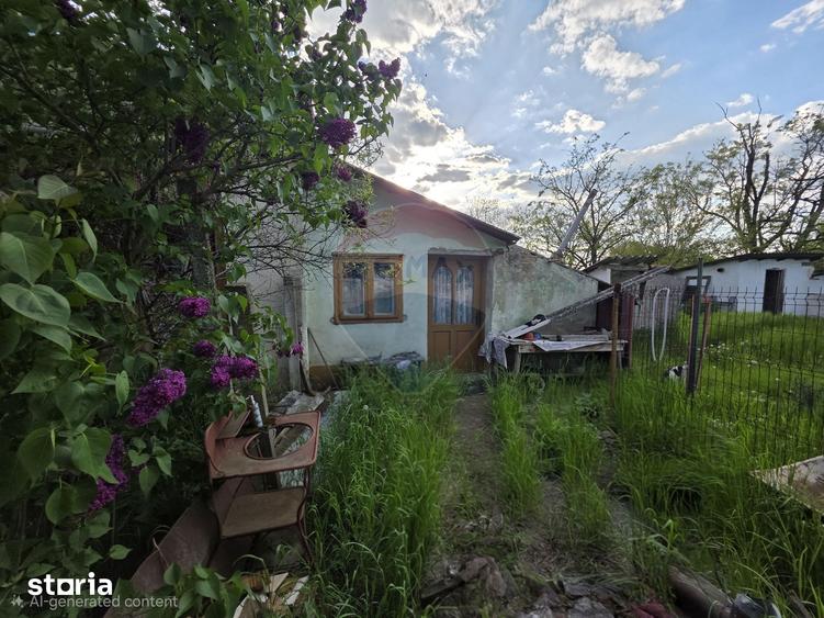 Casă cu 4 camere cu Teren 2880 Mp în Giulvăz