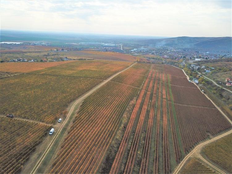 Proprietate specială, de 590,000 mp, în Est