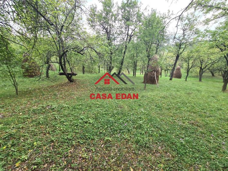 Teren Construcții intravilan de 5991 mp, în Șotrile