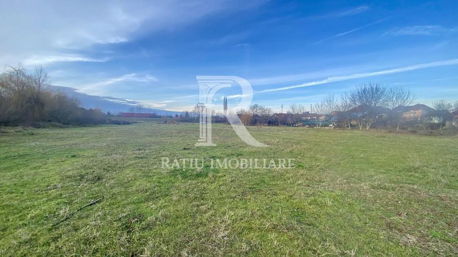 Teren Construcții intravilan de 13500 mp, în Vest