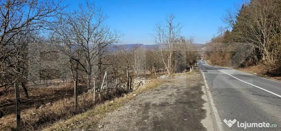 Teren de 30 de ari, Dumitra, 5km de Bistrita - 1