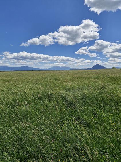 Teren de 14900 mp, în Crizbav