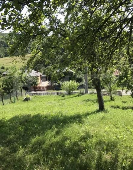 Teren intravilan, 1000 mp, zona Centrală - Băbana